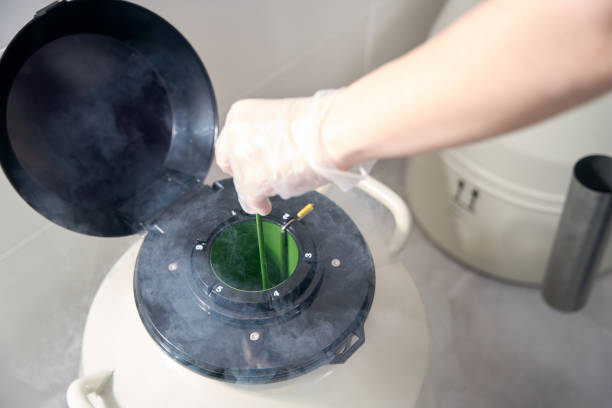 mve液氮罐