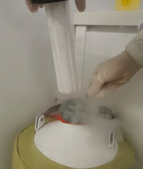 液氮罐
